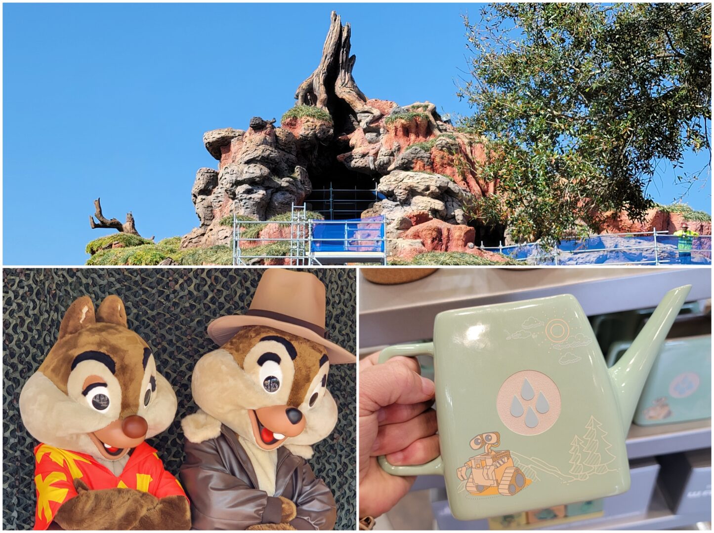 Disney News Highlights: Tiana’s Bayou Construction Update, Chip ‘n Dale Rescue Rangers at Hollywood Studios, What’s New on Disney + in March