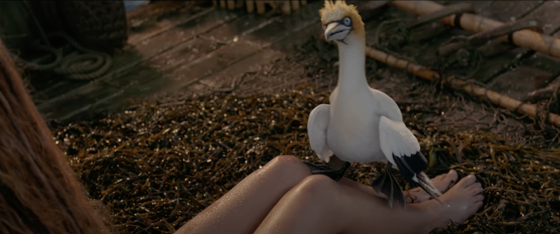 First Look at Scuttle & Sebastian from Disney's LiveAction Little