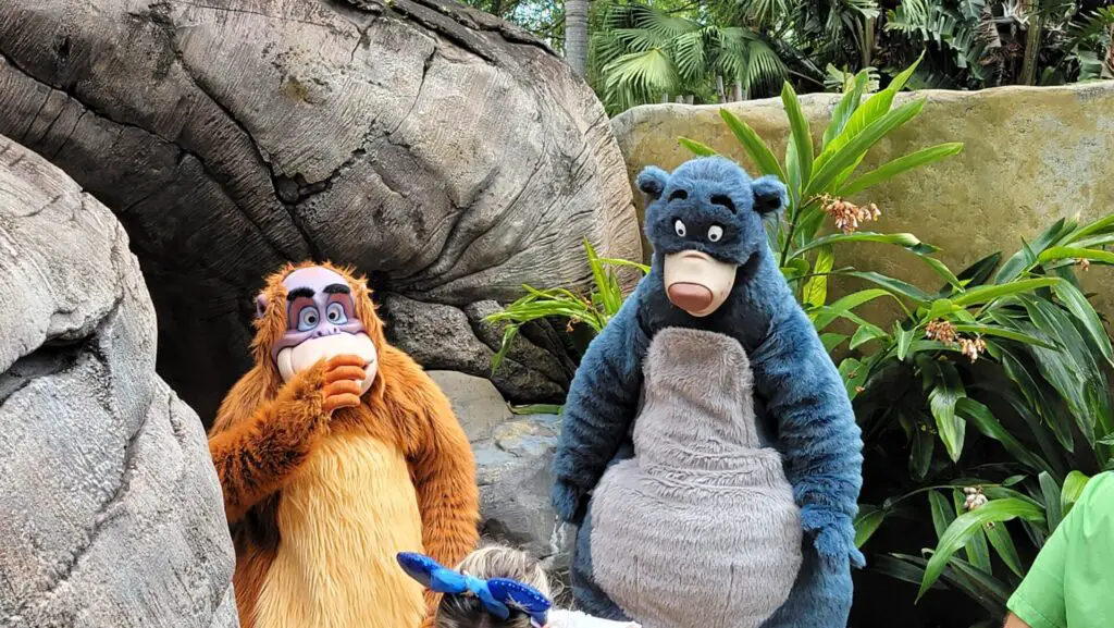 Jungle Book Baloo and King Louis Meet & Greet at Disney's Animal Kingdom