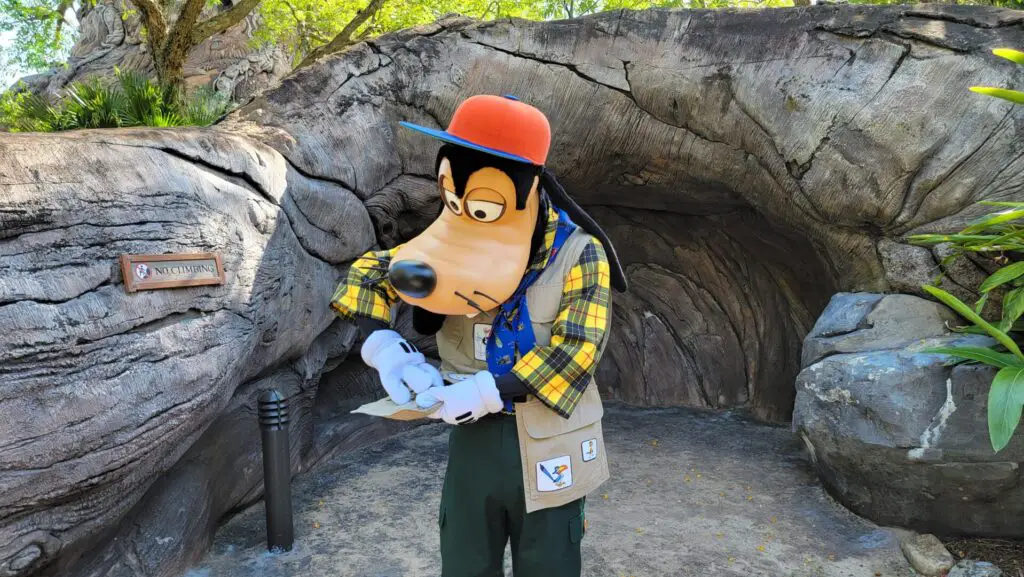 Camp Minnie-Mickey "Goofy" Makes Rare Appearance at Disney's Animal Kingdom