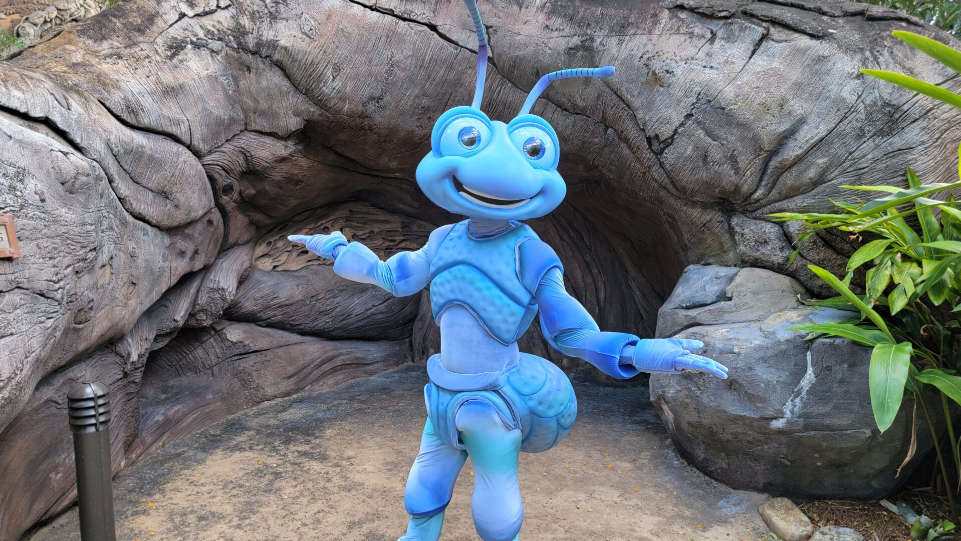 Flik Returns to Disney’s Animal Kingdom for 25th Anniversary Celebration