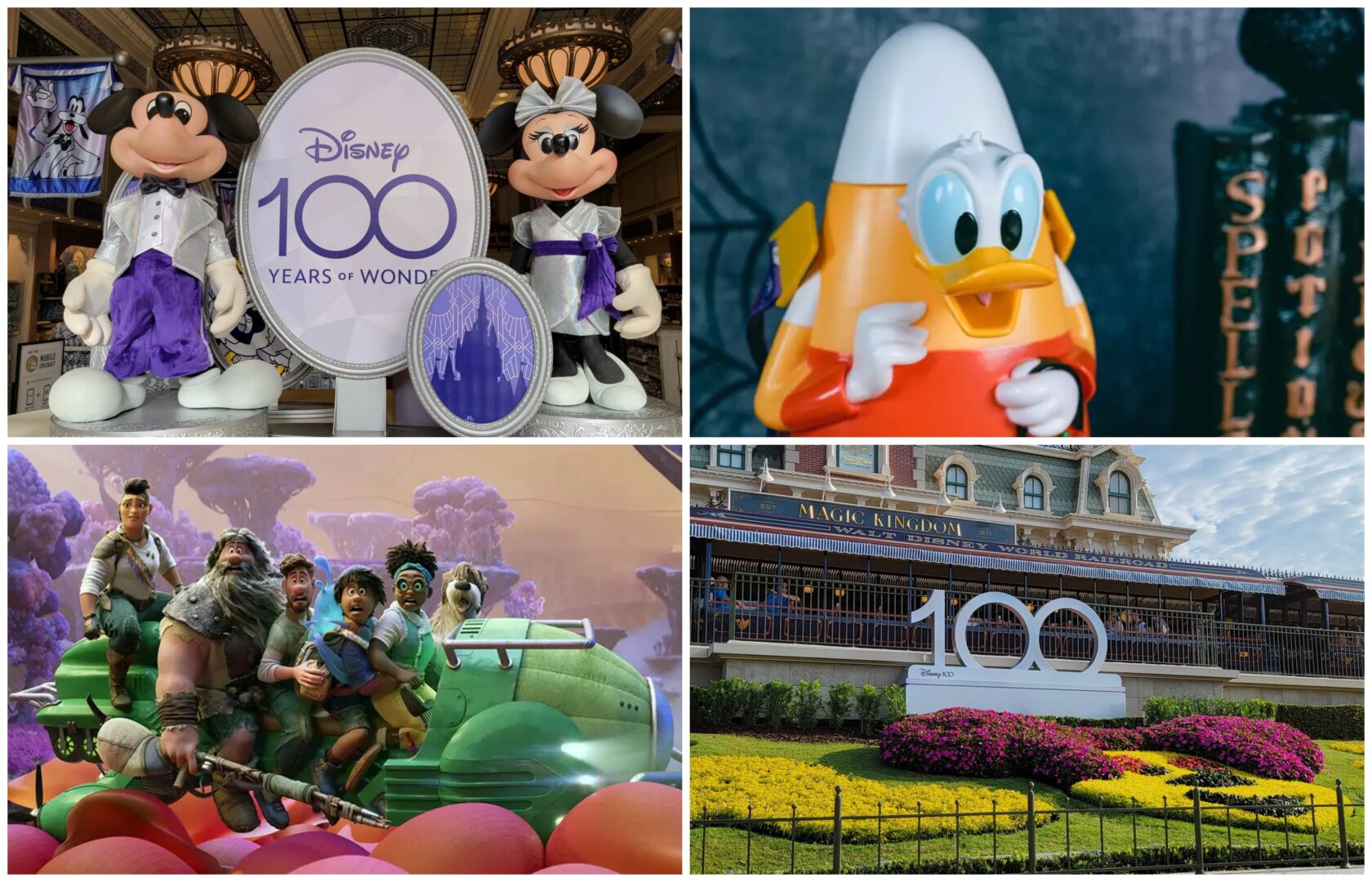 Disney News Highlights: Disney100 Decorations at Magic Kingdom, Halfway to Halloween Foodie Guide, Disney College Program Pay Raise, Strange World Biggest Box Office Bomb of 2022