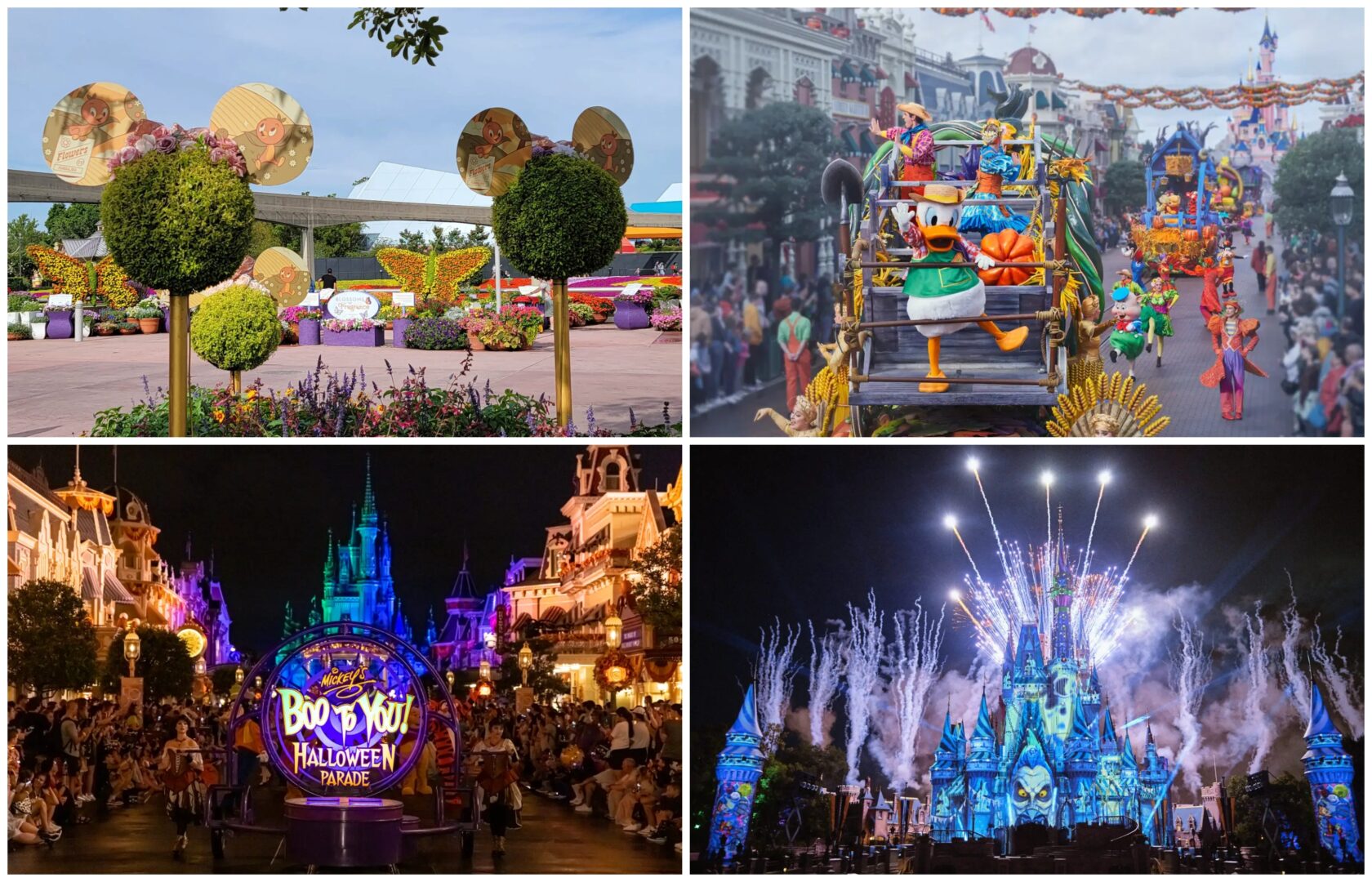 Disney News Highlights: Mickey’s Not-So-Scary Dates and Prices, Disney Vacation Club Takes Over Fort Wilderness Cabins, New Halloween Merch Sneak Peak, Halloween Around the Disney Parks
