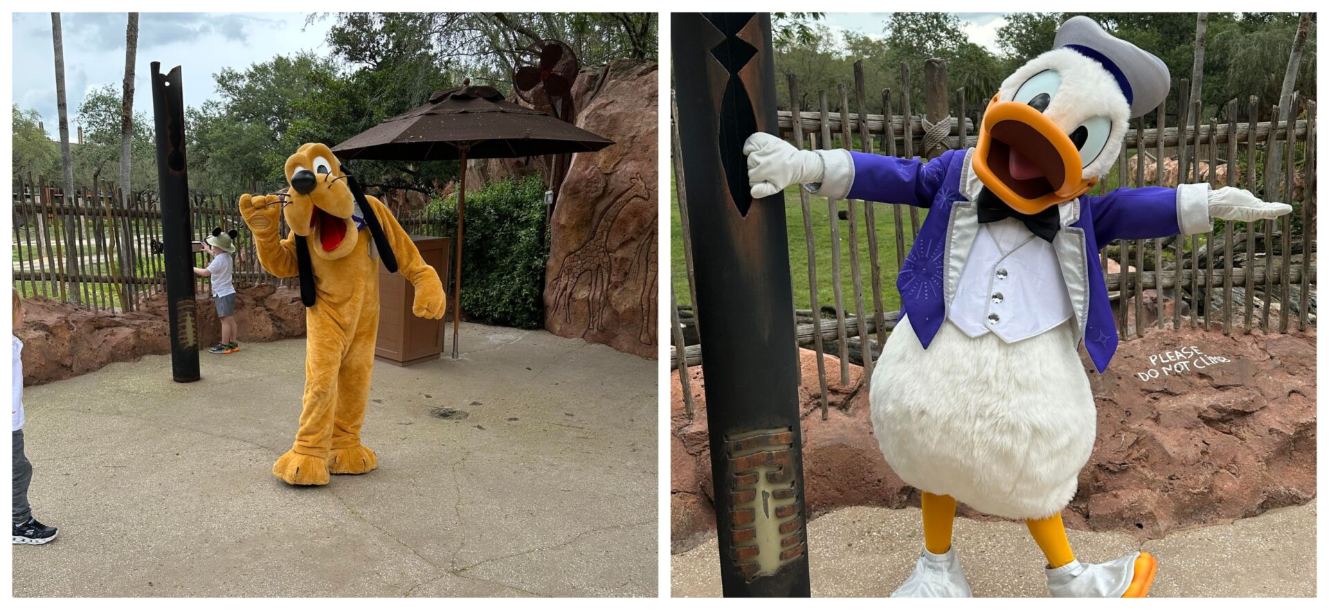 Disney Characters Spotted in New Disney100 Outfits at Disney World