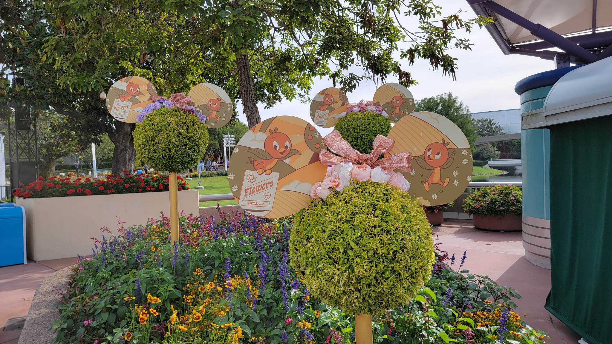 New Orange Bird Ear Topiaries Now on Display in EPCOT for the Flower & Garden Festival