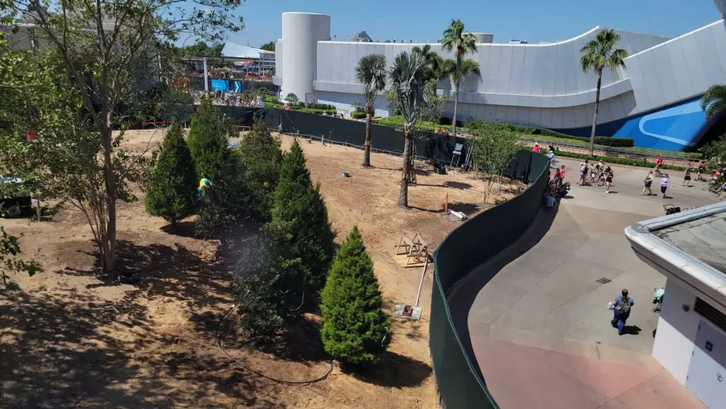 New Trees Planted Around EPCOT Area Construction
