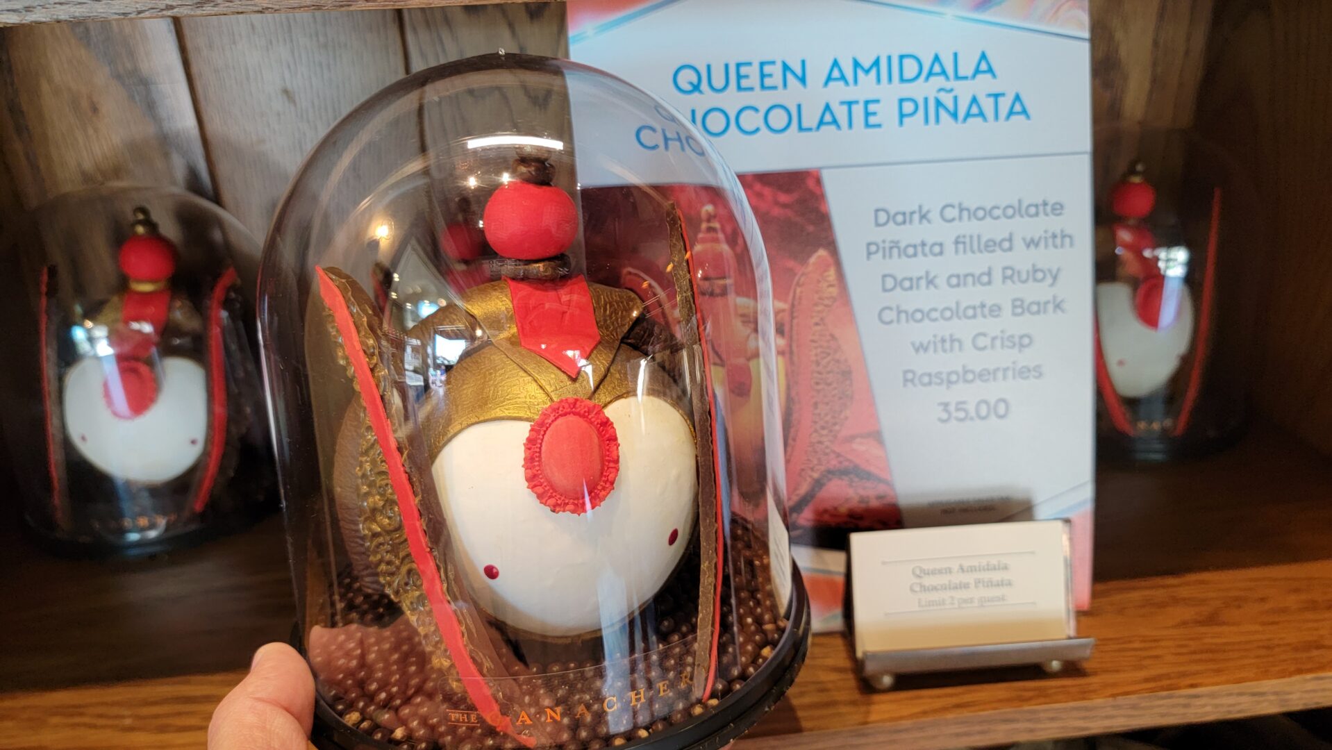 Queen Amidala Chocolate Pinata at the Ganachery in Disney Springs