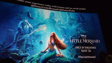 The Little Mermaid becomes the best fan-rated live-action Disney