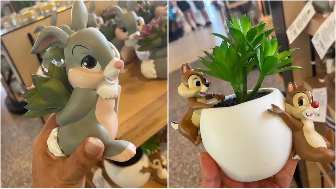 New Disney Planters Spotted At Epcot!