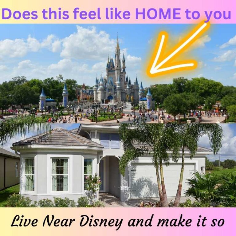 Live Near the Magic! Homes available near Disney World