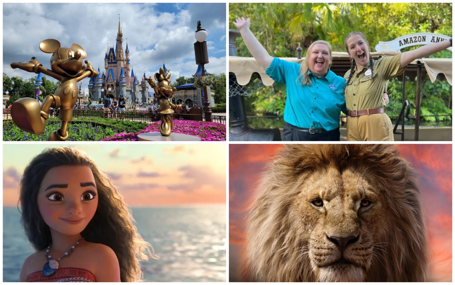Disney News Highlights: Four Day Four Parks for $99 a Ticket, The Little Mermaid Rotten Tomato Score, Little Mermaid Happy Meal Toys, Mufasa 2024 Release Announced