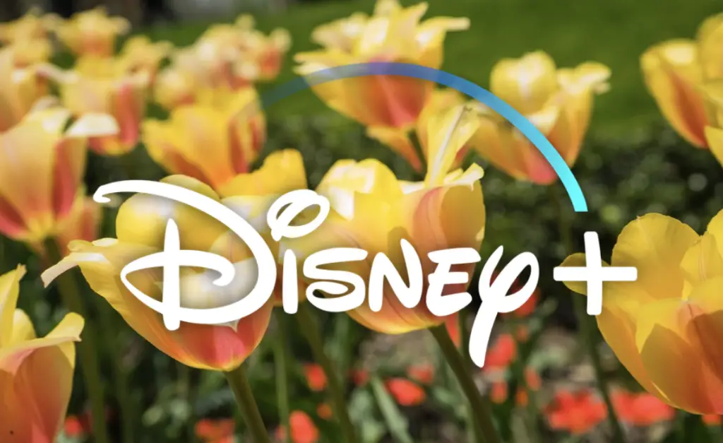 Everything Coming to Disney+ in May 2023