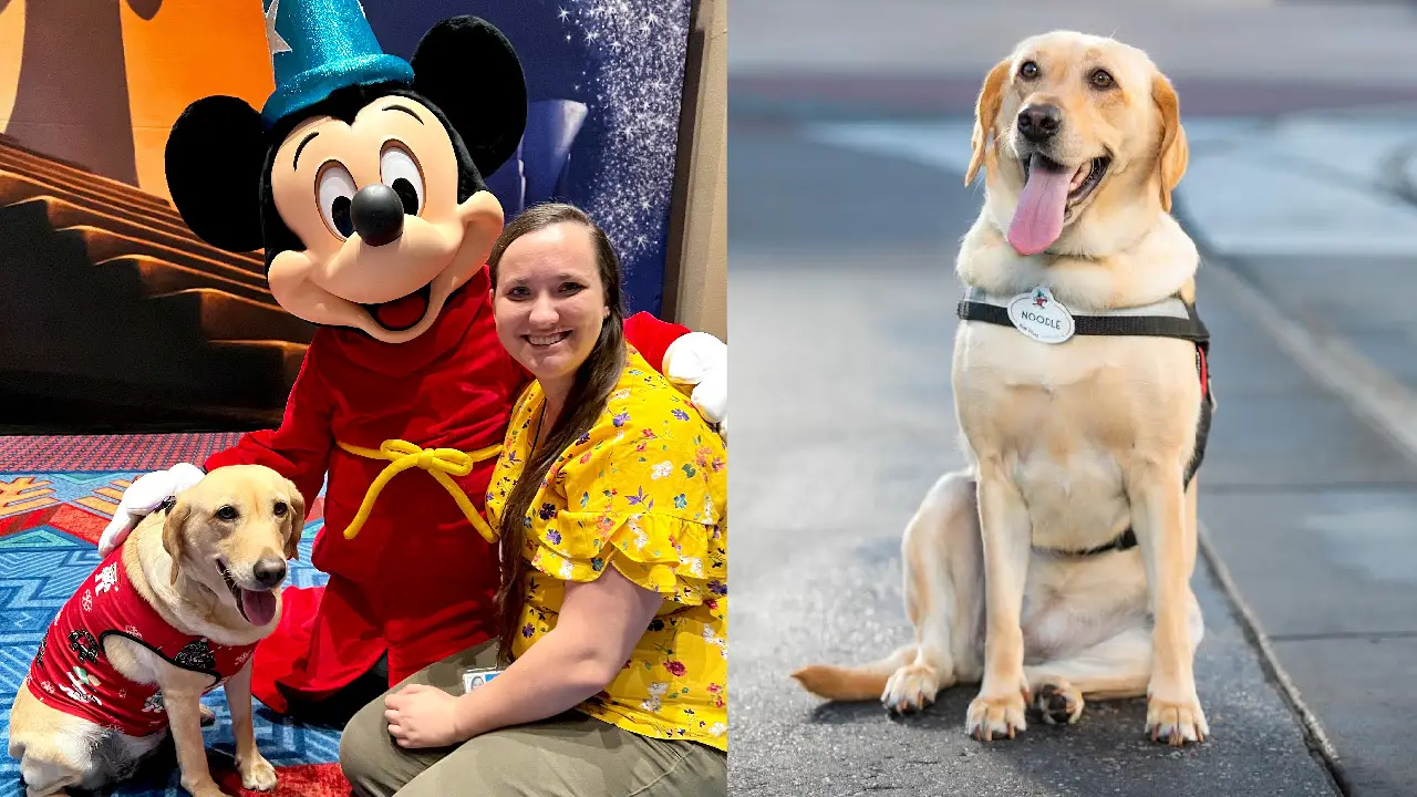 Say Hello to “Noodle” the First Canine Disney Imagineer