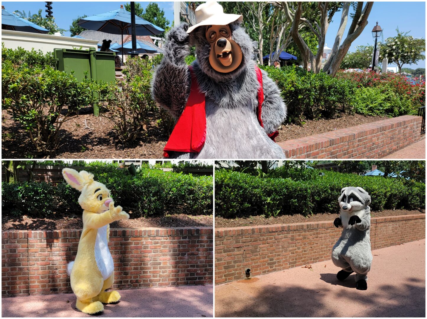 We Spotted These Rare Disney Characters in EPCOT