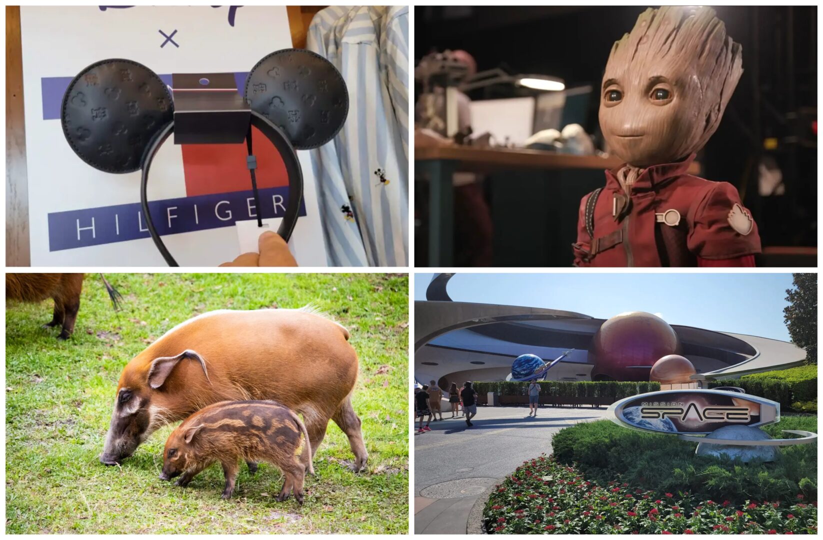Top 10 Disney News Stories from Chip and Company for June 7th 2023