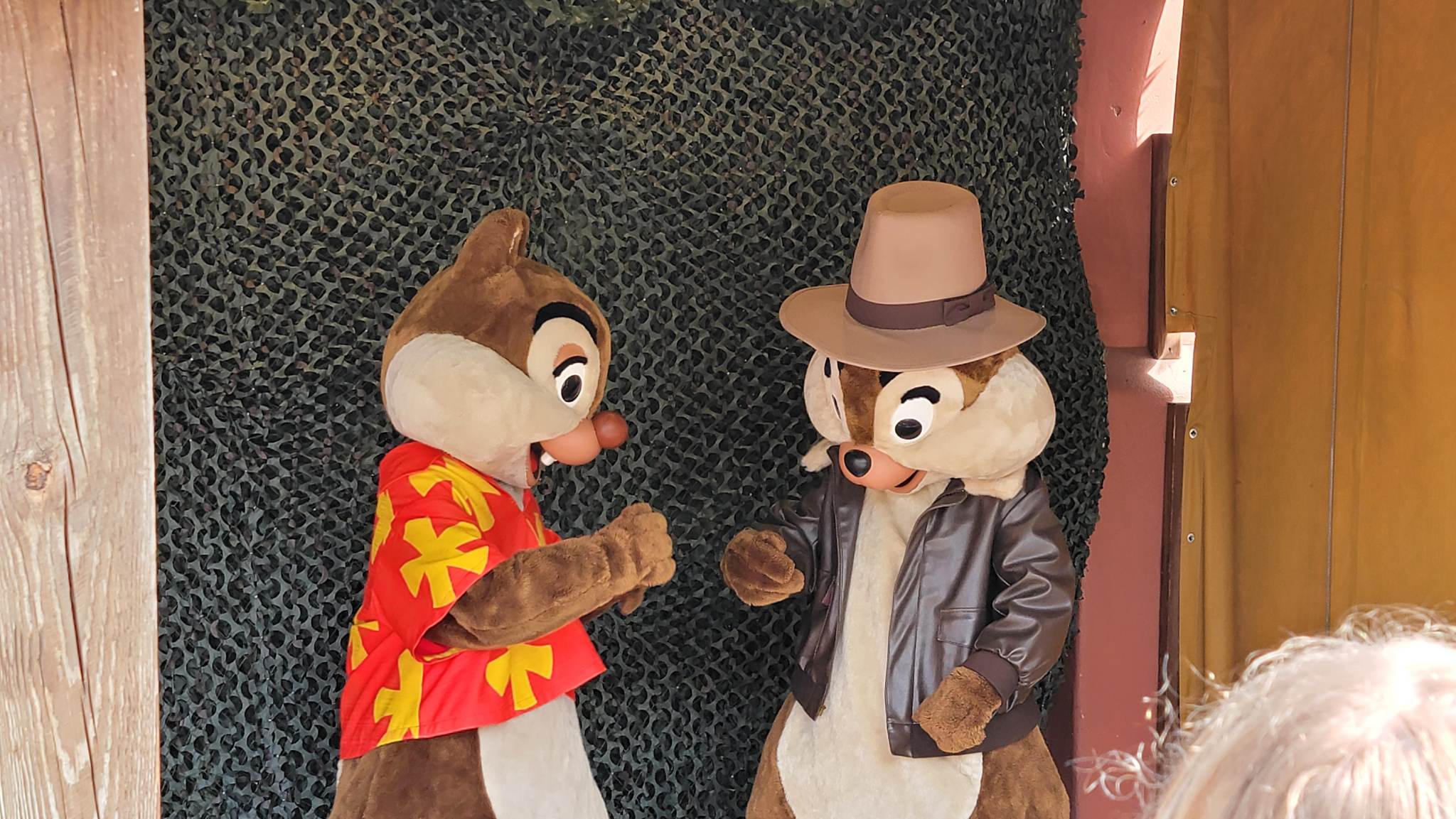 Chip & Dale Rescue Rangers Meet and Greet Relocates to Make Room for Indiana Jones Beverage Outpost