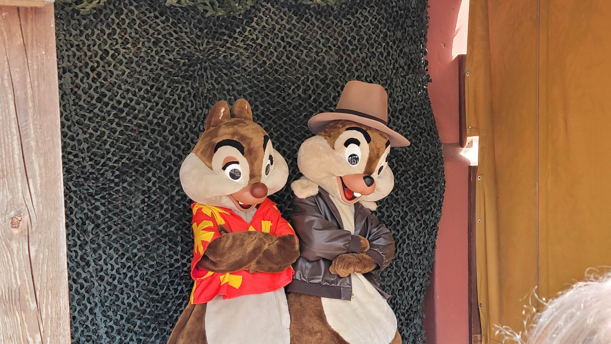 Chip & Dale Rescue Rangers Meet and Greet Relocates to Make Room for ...