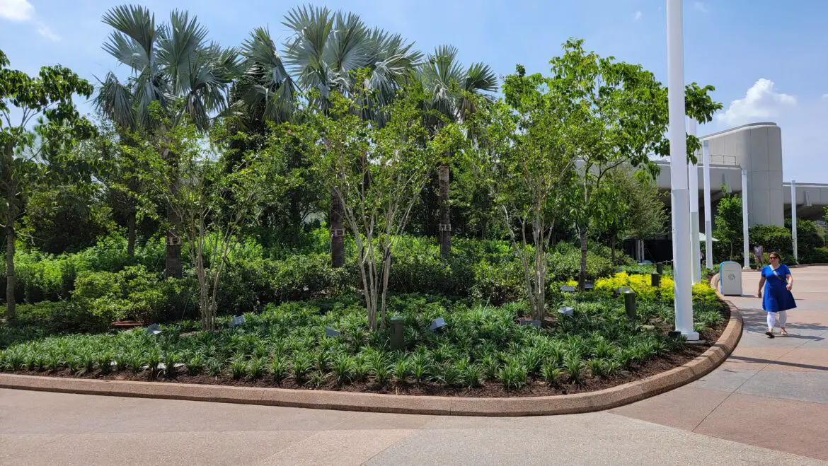 Walls Finally Down Between Guest Services and Restrooms in EPCOT