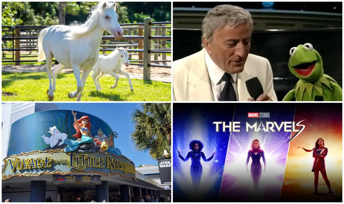 Legendary singer Tony Bennett passes away at 96, Disney Surveys Guests on Possible Return of Voyage of the Little Mermaid, New Haunted Mansion Collection Spotted At Disney World, Disney Shuts Down Production on Live-Action Lilo and Stitch Movie