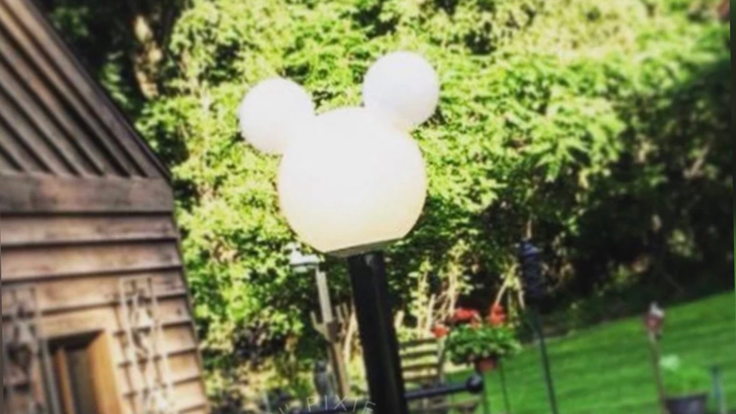 Mickey Mouse Lamp Post