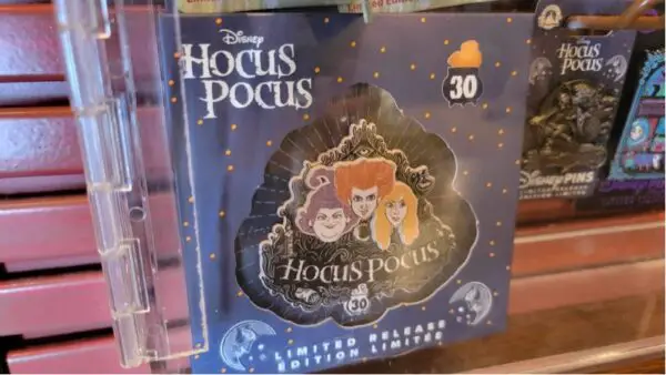 Hocus Pocus Pins