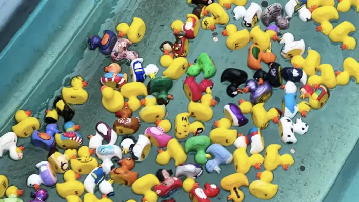 Disneyland Cast Members Celebrate Duck Races for Charity