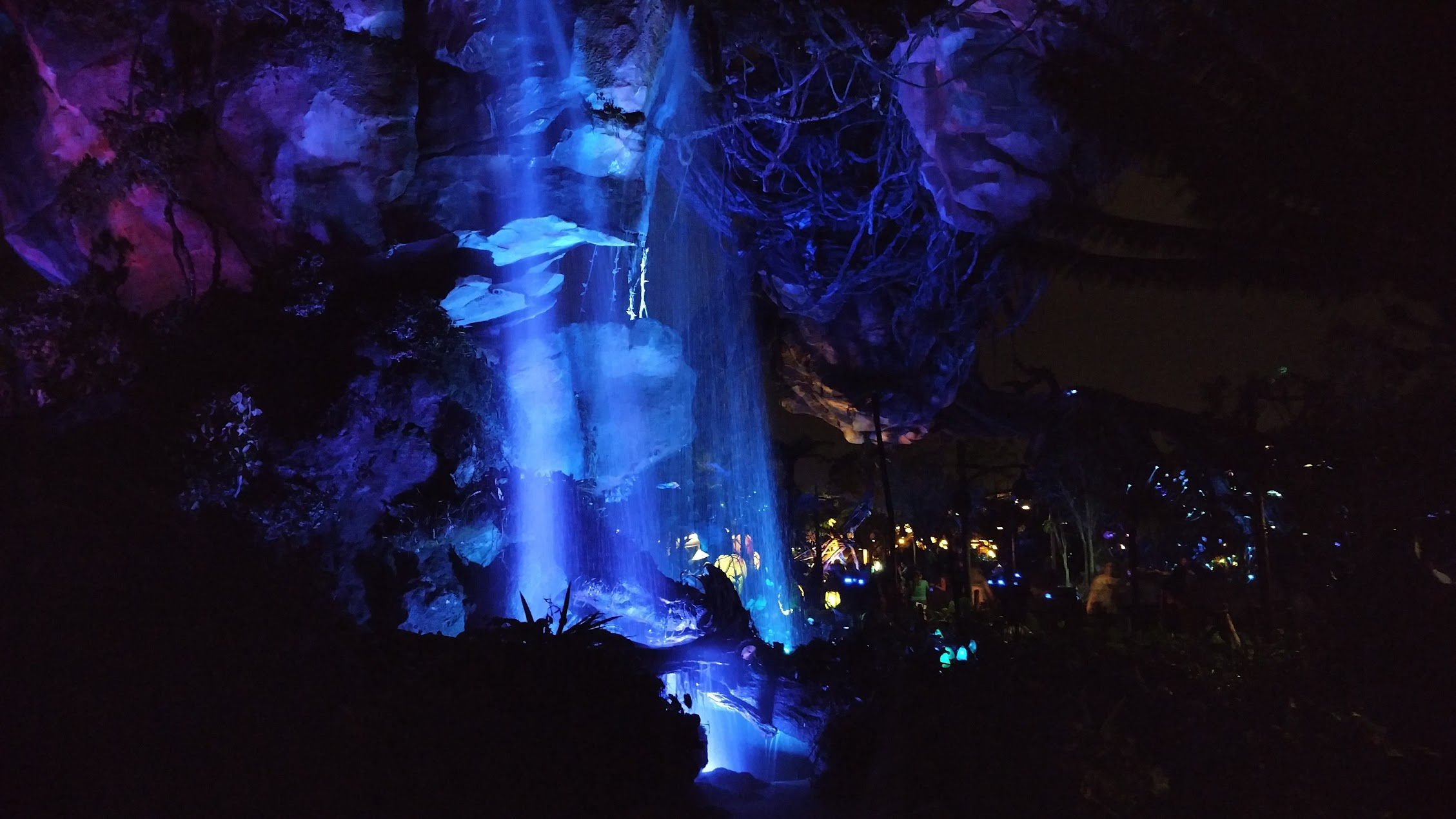 Extended Evening Hours Coming to Disney's Animal Kingdom | Chip and Company