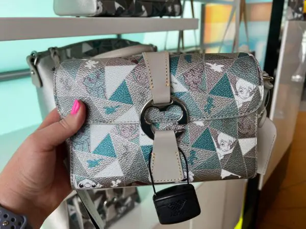 Disney100 Dooney And Bourke Collection