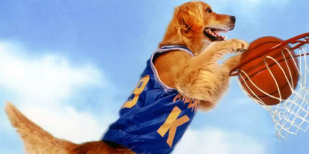 Air Bud Movie Collection Coming to Disney+ in October