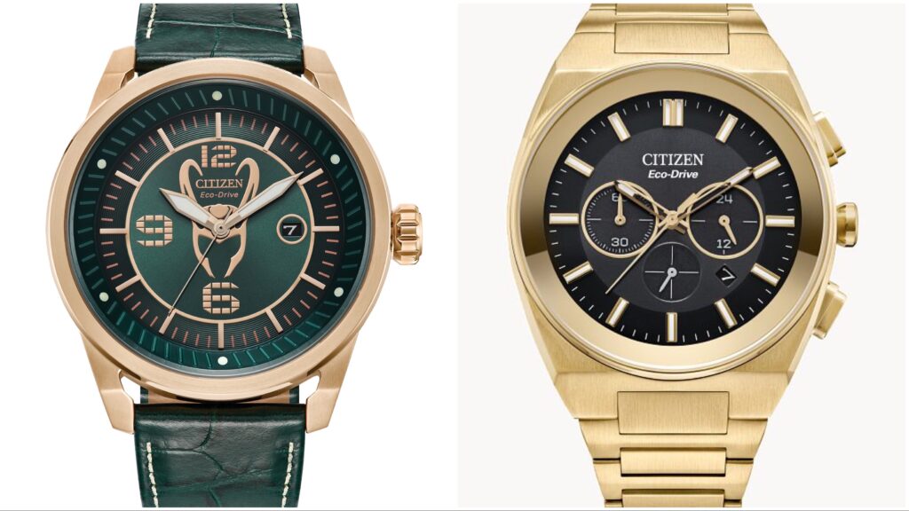 Citizen watch subsidiaries hot sale