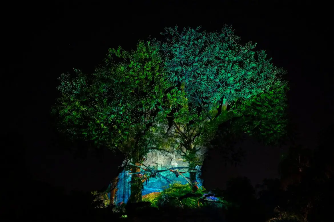 Dates and Details for Extended Evening Hours at Disney’s Animal Kingdom