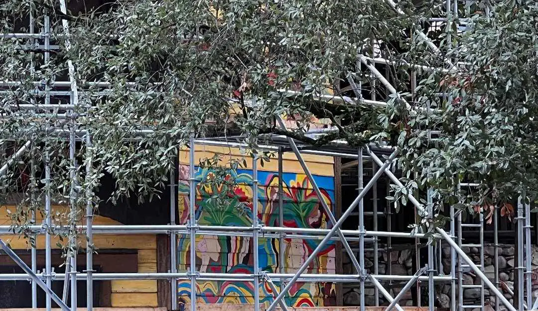 New Mural Painted on Tiana’s Bayou Adventure Barn at Magic Kingdom