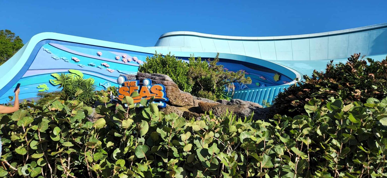 Seagulls Removed From Entrance of The Seas with Nemo & Friends Sign in ...