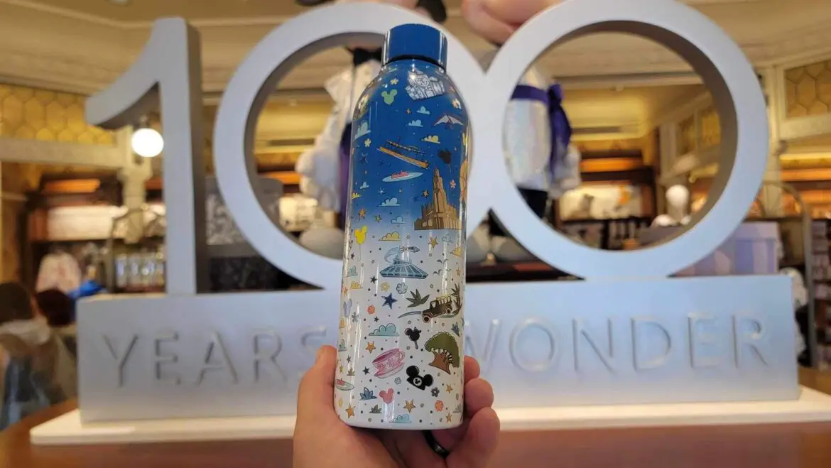 New Disney Parks Water Bottle Available At Magic Kingdom!