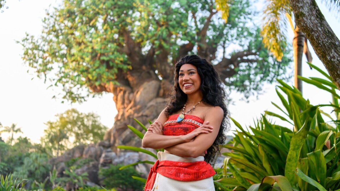 Moana Still Meeting Guests at Disney’s Animal Kingdom