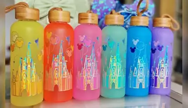 Magical Disney Castle Water Tumbler