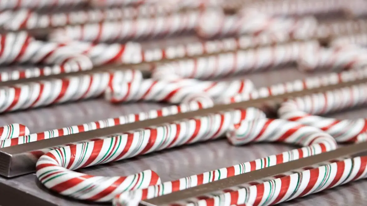 Disneyland Holiday Candy Cane Distribution Schedule Revealed