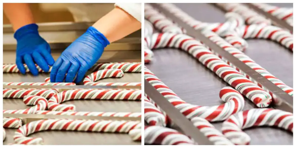 How to get the Fan-Favorite Candy Canes in Disneyland!