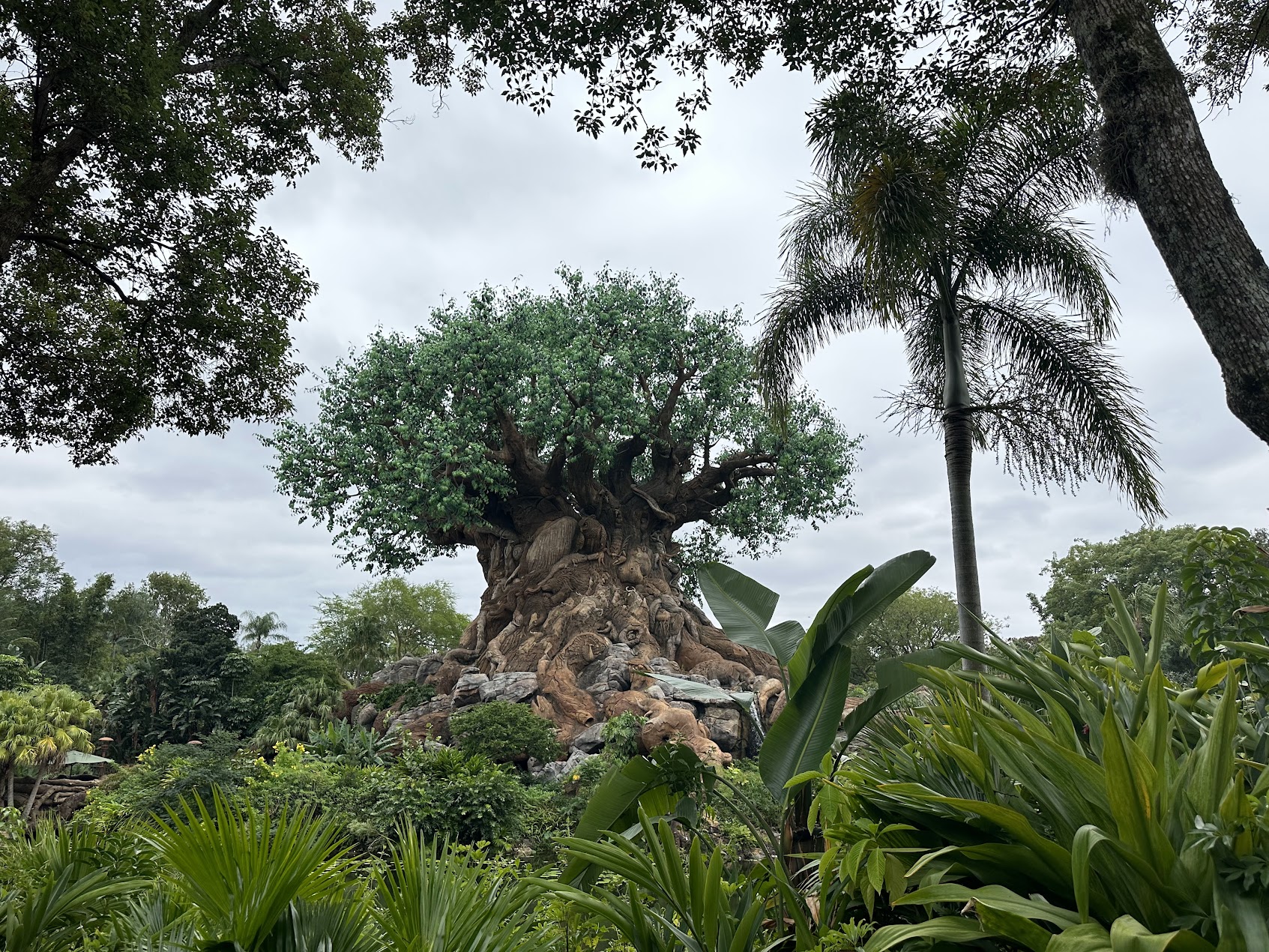 animal kingdom disney world park hours