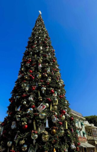 disneyland-tree