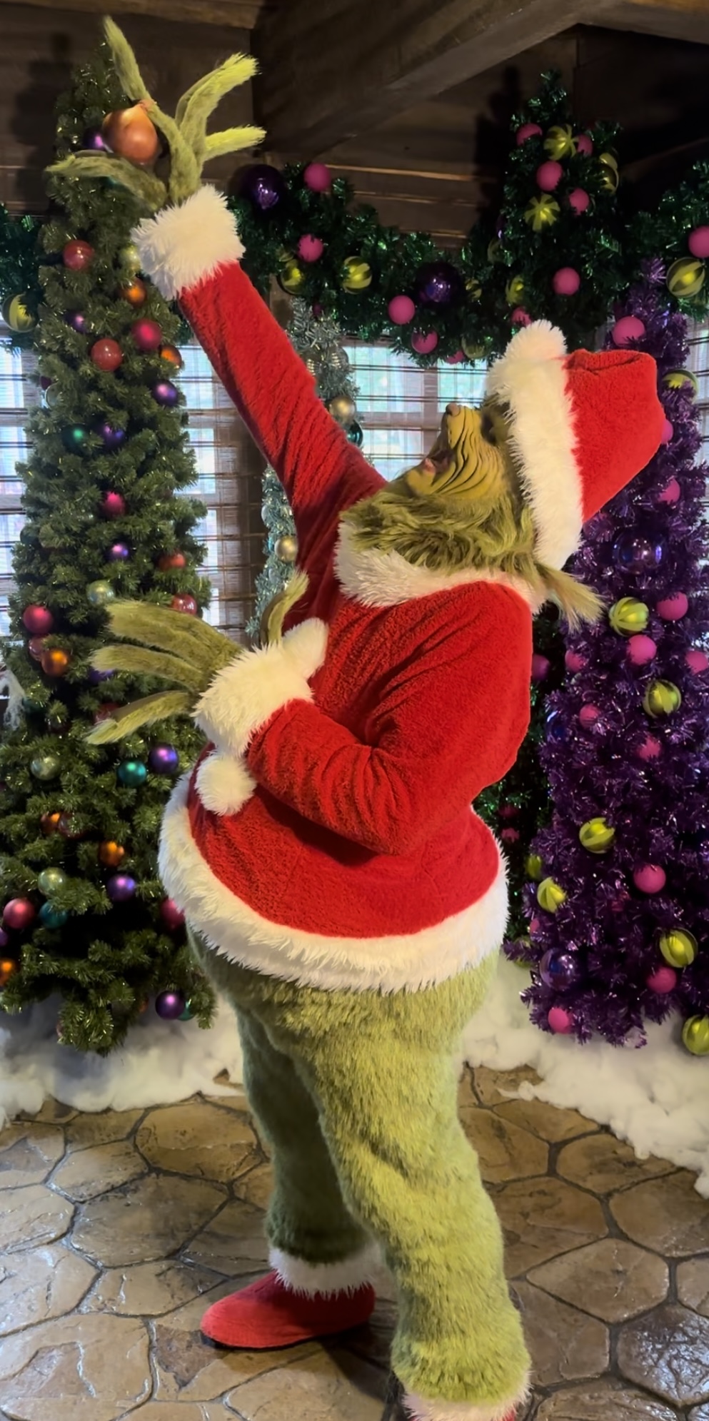 grinch-character-breakfast-cc-cover