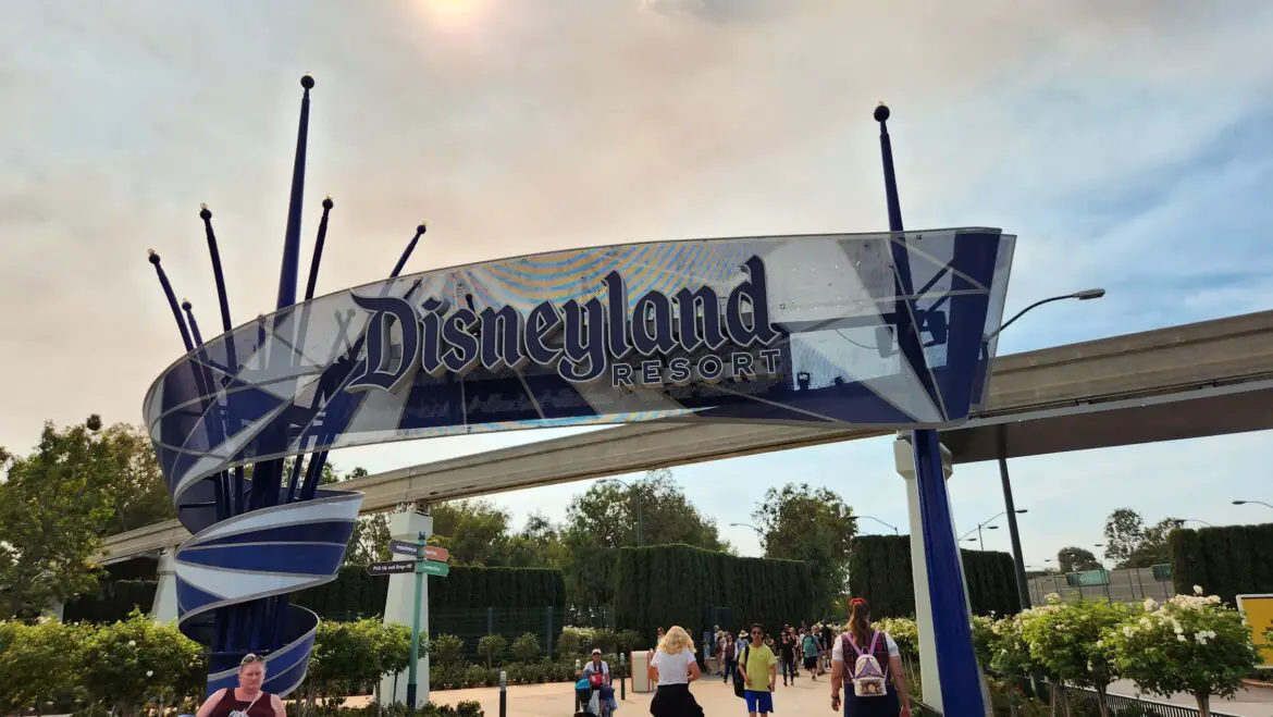 Pro-Palestine Protest Closes Entrance to Disneyland