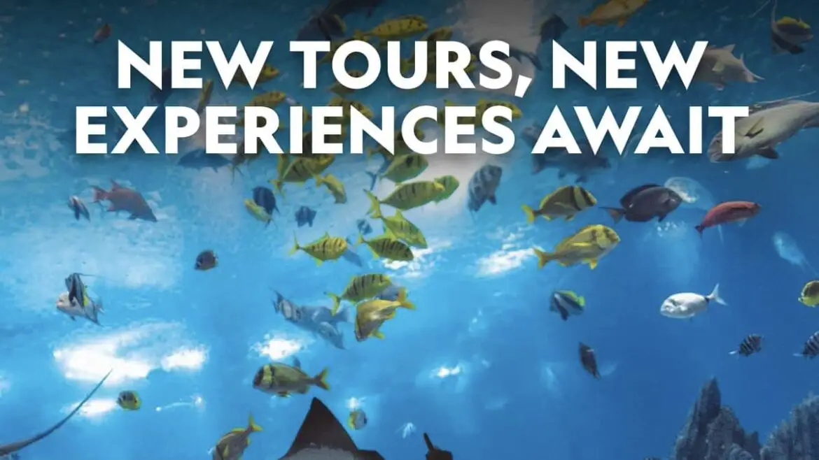 New National Geographic Day Tours Available to Book Now