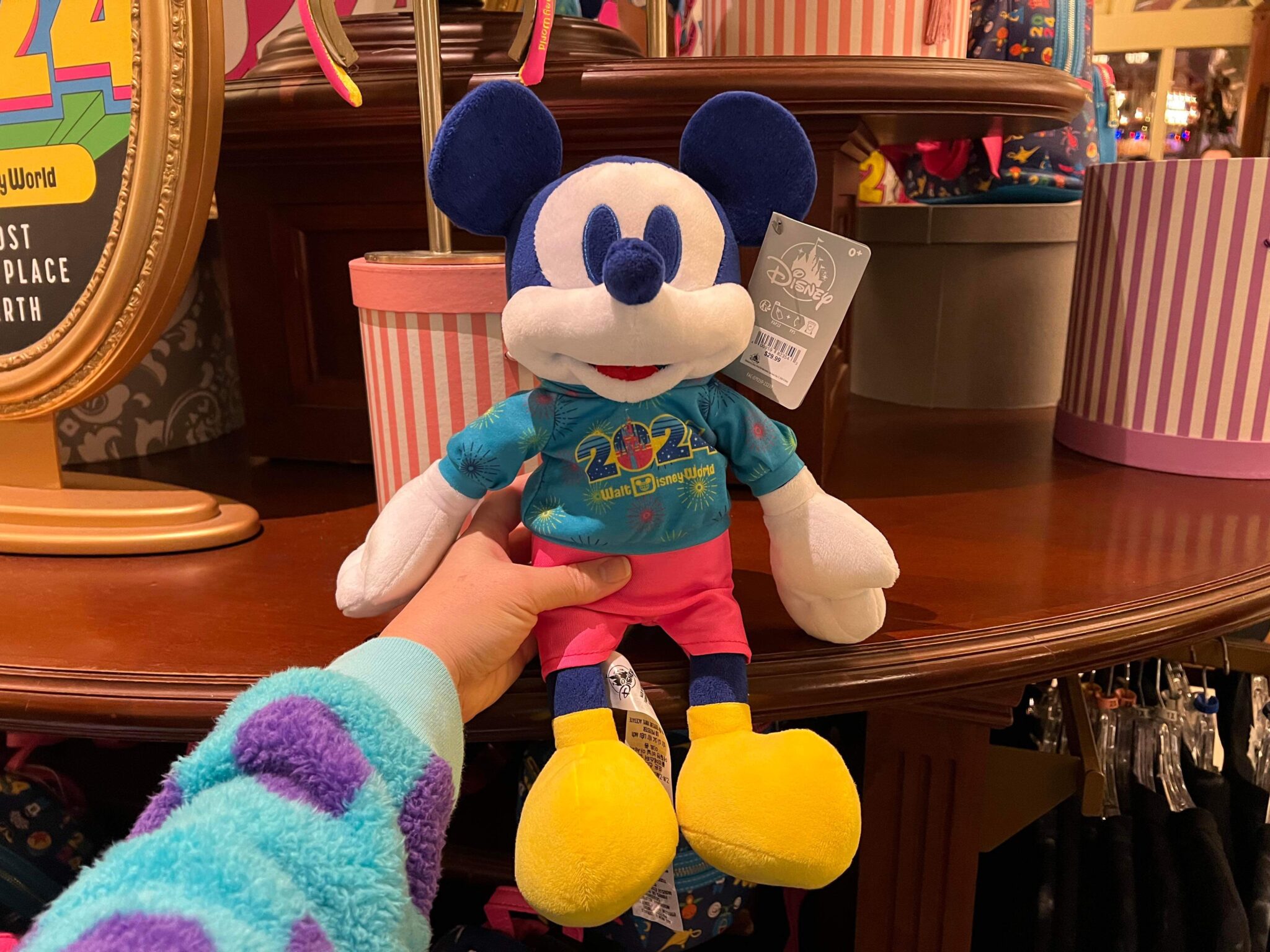 Adorable Walt Disney World 2024 Mickey Mouse Plush Spotted At Magic   IMG 8234 2048x1536 