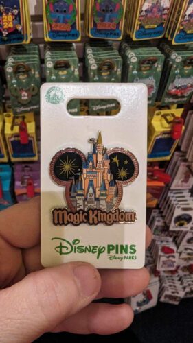 Disney themed park icon pins