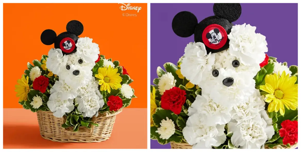 New A-Dog-Able Disney Flower Collection Debuts from 1-800-Flowers