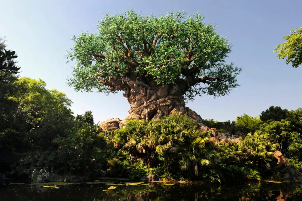 Disney-World-animal-kingdom-tree