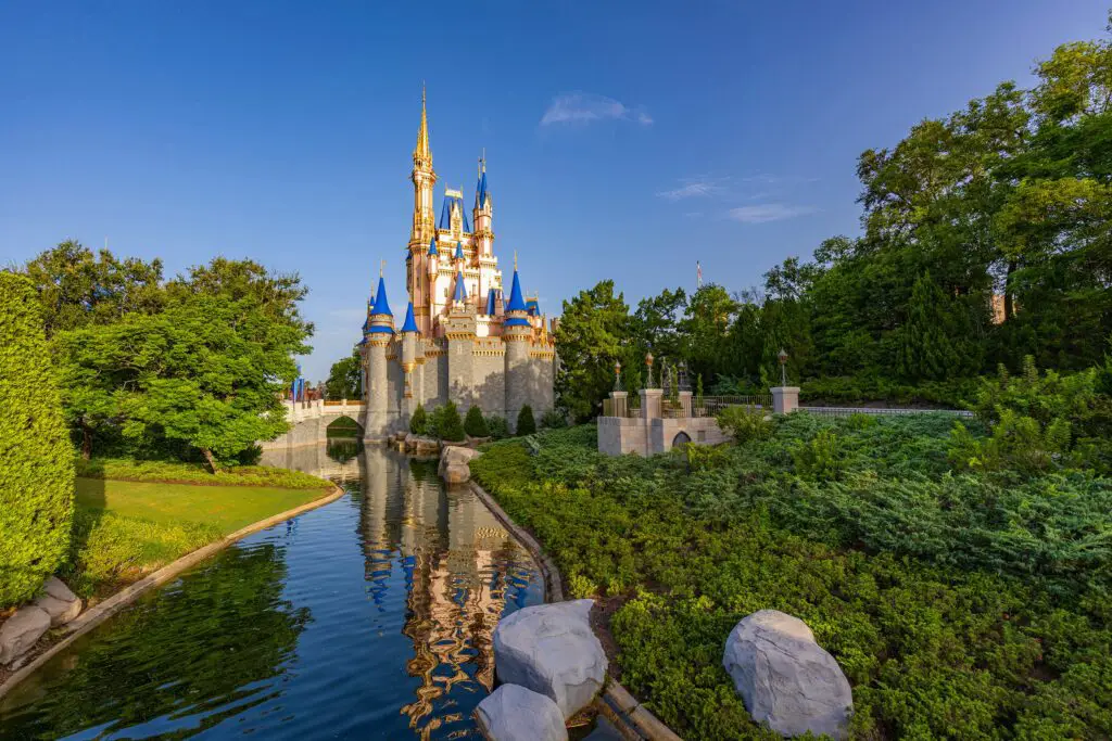Disney-World-castle-back
