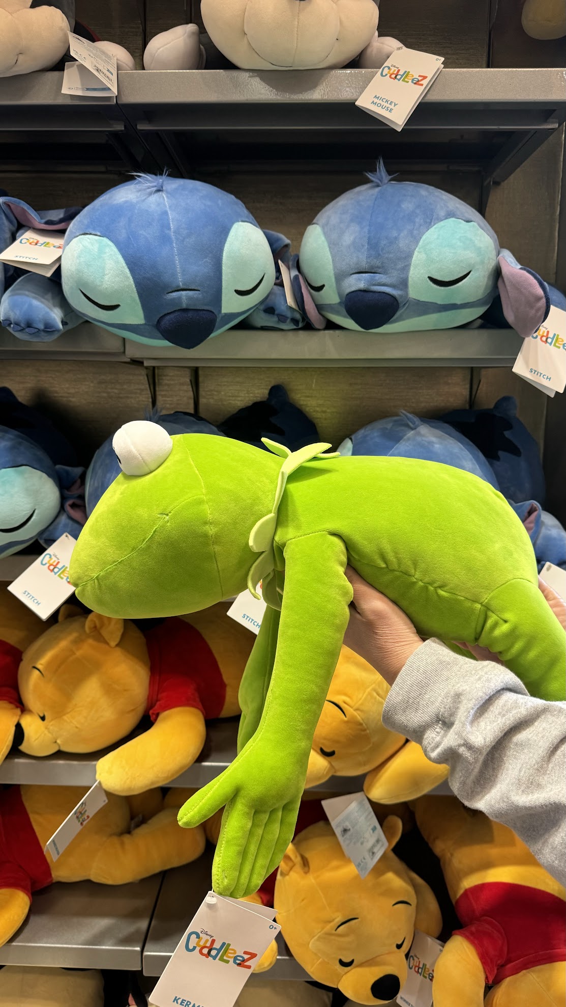 Kermit The Frog Cuddleez Plush Spotted At Hollywood Studios! | Chip and ...