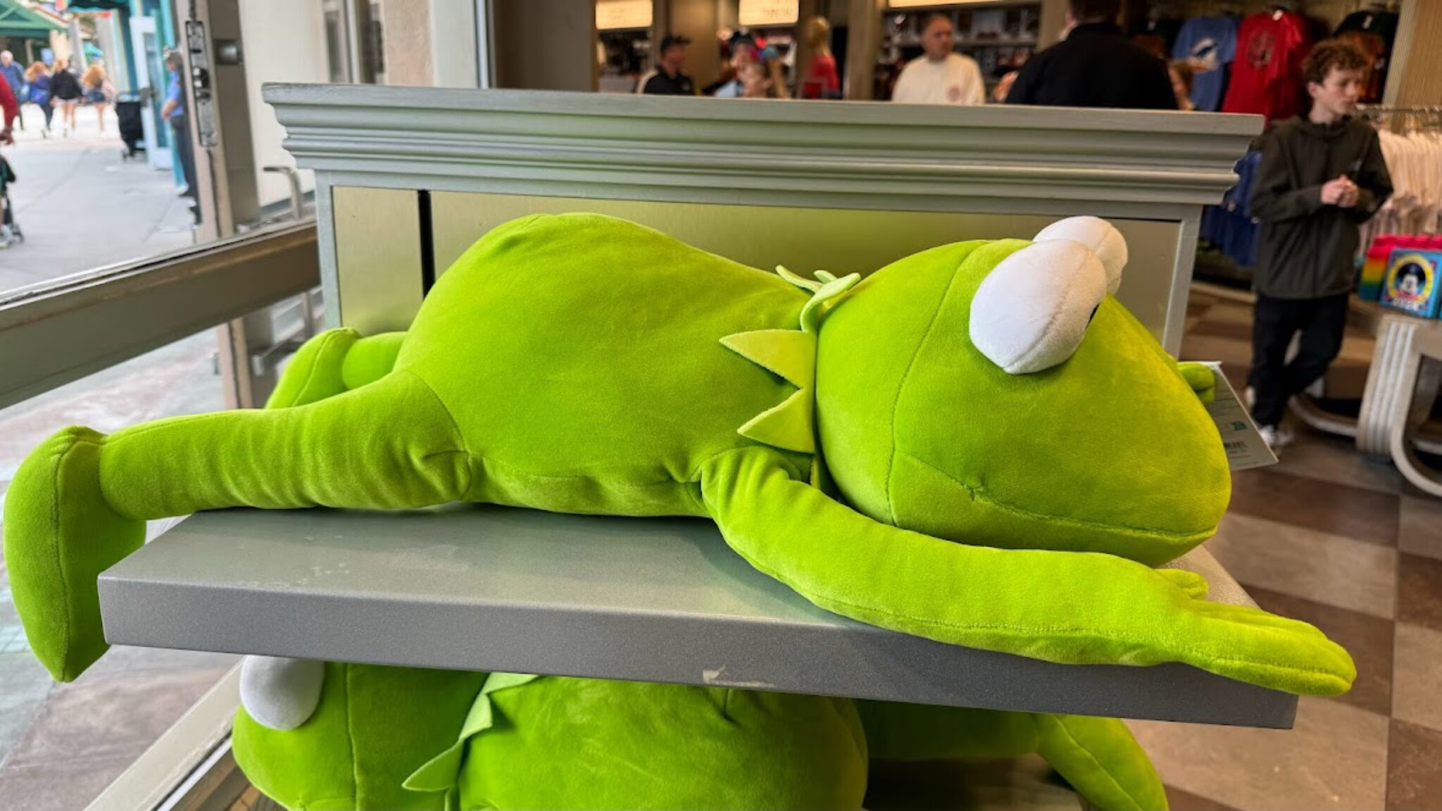 Kermit The Frog Cuddleez Plush Spotted At Hollywood Studios! | Chip and ...